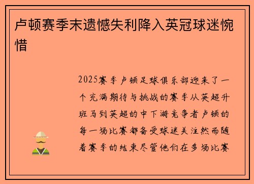 卢顿赛季末遗憾失利降入英冠球迷惋惜 卢顿赛季末遗憾失利降入英冠球迷惋惜