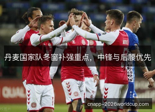 丹麦国家队冬窗补强重点,中锋与后腰优先 丹麦国家队冬窗补强重点,中锋与后腰优先